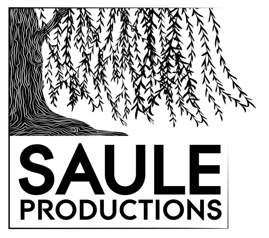 logo Saule productions